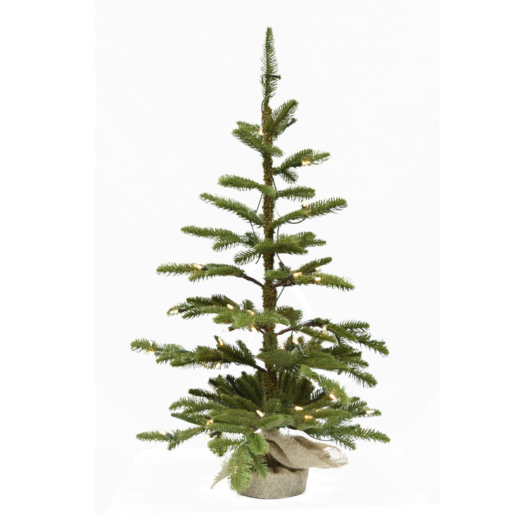 The Holiday Aisle® 3' Green Pine Artificial Christmas Tree with Clear